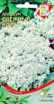 Алиссум Снежный ковер (дом семян) 180 шт Алиссум Снежный ковер (дом семян) 180 шт