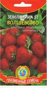 Земляника Волшебство S1 (плазмас) 10 шт Земляника Волшебство S1 (плазмас) 10 шт