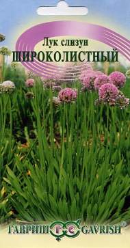 Лук слизун Широколистный (гавриш) 0,5гр