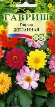 Георгина Желанная (гавриш) 0,3гр Георгина Желанная (гавриш) 0,3гр
