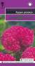 Целозия гребенчатая Курум розовая (гавриш) 8шт  – купить в г. Москва