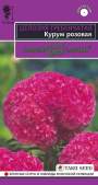 Целозия гребенчатая Курум розовая (гавриш) 8шт