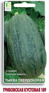 Тыква Грибовская кустовая 189 (поиск) 10 шт