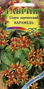 Седум (очиток камчатский) Карамель (гавриш) 0,01 гр Седум (очиток камчатский) Карамель (гавриш) 0,01 гр