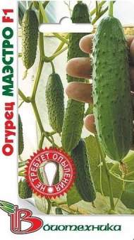 Огурец Маэстро F1 (б) 8шт Огурец Маэстро F1 (б) 8шт