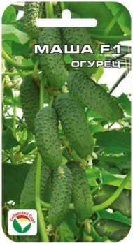 Огурец Маша F1 (сибирский сад) 5 шт