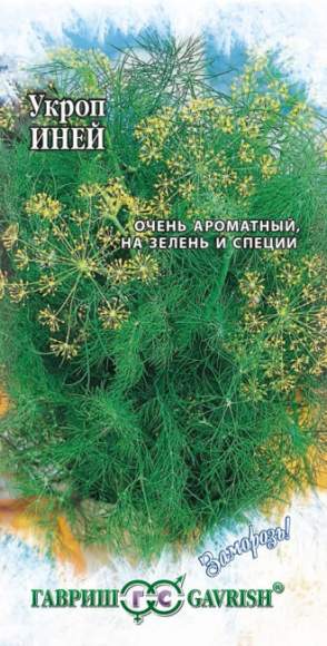 Укроп Иней (гавриш) 2,0 гр Укроп Иней (гавриш) 2,0 гр