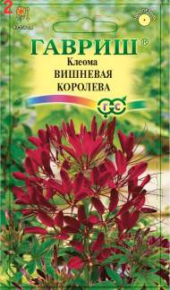 Клеома Вишневая королева (гавриш) 0,2 гр