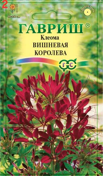 Клеома Вишневая королева (гавриш) 0,2 гр