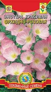 Энотера Орхидно розовая (плазмас) 0,05гр Энотера Орхидно розовая (плазмас) 0,05гр