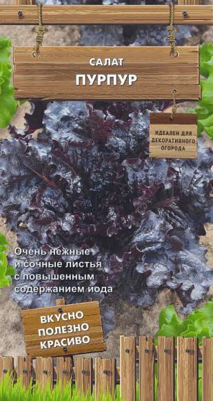  Салат листовой Пурпур (поиск) 1,0гр 