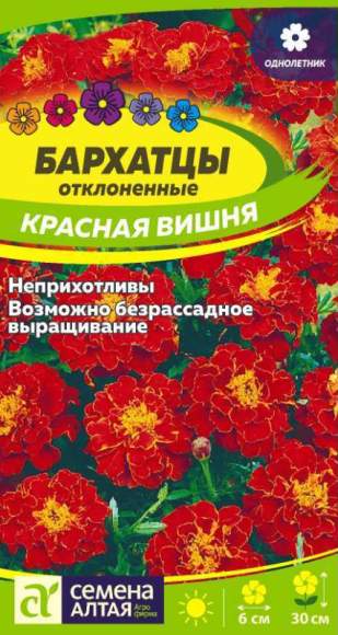 Бархатцы Красная вишня (семена алтая) 0,2 гр  – купить в г. Москва
