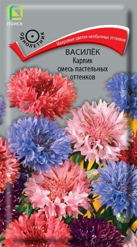 Василек Карлик смесь пастельных оттенков (поиск) 0,1 гр  – купить в г. Москва