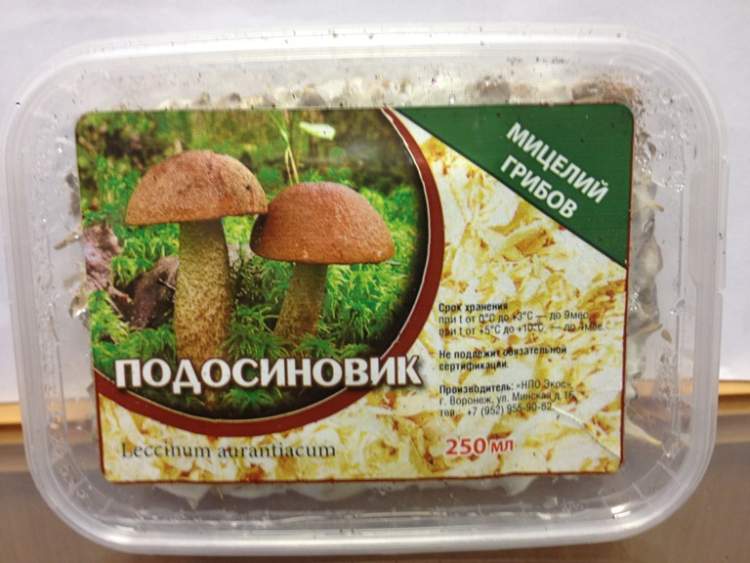 Магазин Семян Грибов