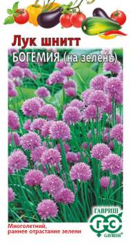 Лук шнитт Богемия (гавриш) 0,5 гр