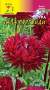 Астра Гала Бургунди (цветущий сад) 0,1 гр  – купить в г. Москва