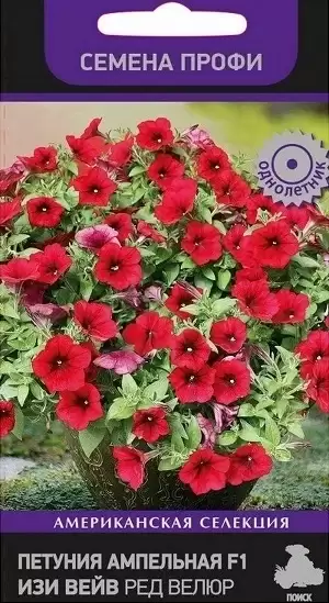 Петуния ампельная Изи Вейв Ред Велюр F1 (поиск) 5 шт  – купить в г. Москва