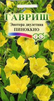 Энотера Пиноккио (гавриш) 0,3гр