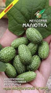 Мелотрия Малютка (дом семян) 8шт Мелотрия Малютка (дом семян) 8шт