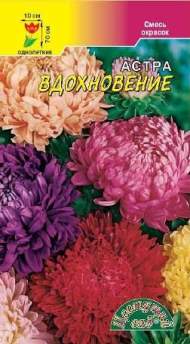 Астра Вдохновение смесь (цветущий сад) 0,2гр Астра Вдохновение смесь (цветущий сад) 0,2гр
