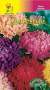 Астра Вдохновение смесь (цветущий сад) 0,2гр  – купить в г. Москва