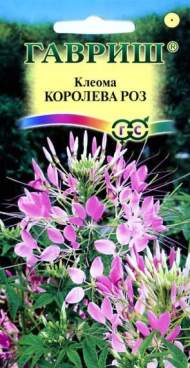 Клеома Королева роз (г) 0,2гр Клеома Королева роз (г) 0,2гр