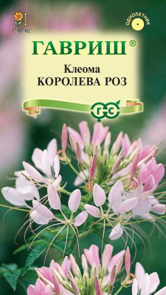 Клеома Королева роз (гавриш) 0,2 гр  – купить в г. Москва