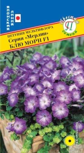 Петуния мультифлора Блю морн F1 (престиж) 10шт 