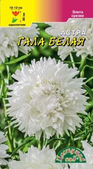 Астра Гала Белая (цветущий сад) 0,1 гр