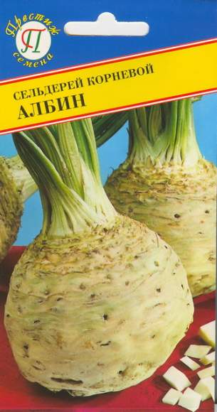 Сельдерей корневой Албин (престиж) 1,0 гр  – купить в г. Москва