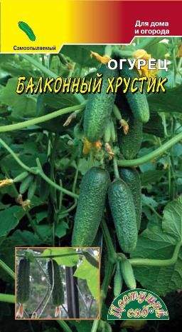 Купить Огурец Балконный хрустик (цс) от