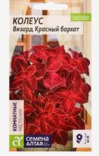 Колеус Визард Красный бархат (семена Алтая) 8 шт