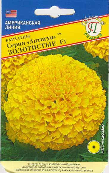 Бархатцы Антигуа F1 золотистые (престиж) 5 шт  – купить в г. Москва