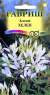 Клеома Хелен (гавриш) 0,2гр  – купить в г. Москва