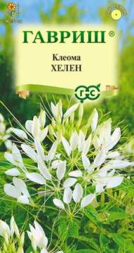 Клеома Хелен (гавриш) 0,2гр