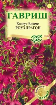 Колеус Роуз драгон (гавриш) 4 шт