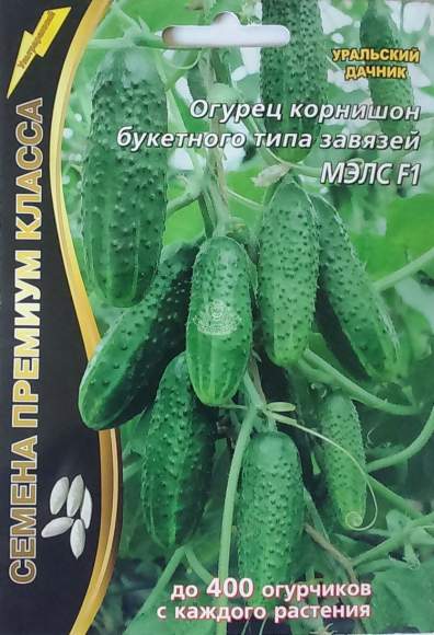 Огурец МЭЛС F1 (уральский дачник) 5 шт Огурец МЭЛС F1 (уральский дачник) 5 шт