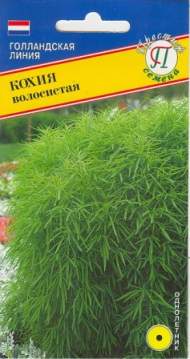Кохия Волосистая (престиж) 1,0 гр Кохия Волосистая (престиж) 1,0 гр