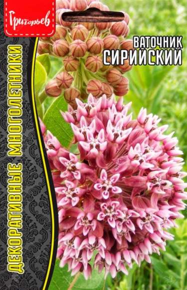 Ваточник Сирийский (Григорьев) 15шт 