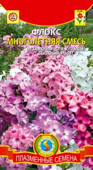 Флокс Многолетняя смесь (плазмас) 5шт Флокс Многолетняя смесь (плазмас) 5шт