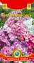 Флокс Многолетняя смесь (плазмас) 5 шт  – купить в г. Москва