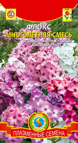 Флокс Многолетняя смесь (плазмас) 5шт 
