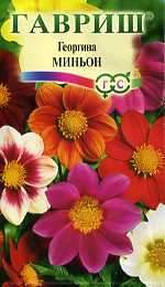 Георгина Миньон (гавриш) 0,3гр Георгина Миньон (гавриш) 0,3гр