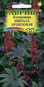 Клещевина Импала бронзовая (гавриш) 5 шт Клещевина Импала бронзовая (гавриш) 5 шт