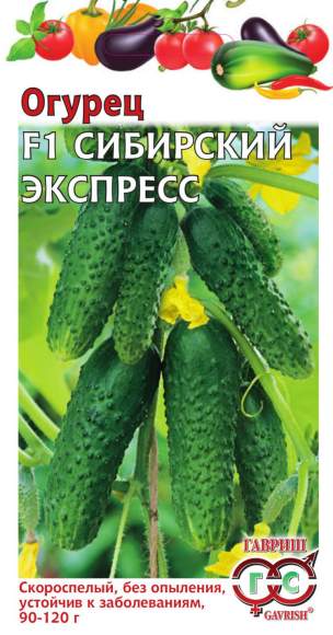 Огурец Сибирский экспресс F1 (гавриш) 10шт 