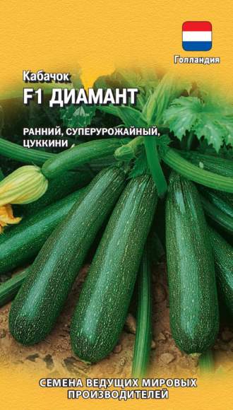 Кабачок Диамант F1 (гавриш) 5 шт (Голландия)  – купить в г. Москва