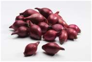  Лук-севок Ред Барон разбор 20/24 (Голландия) 