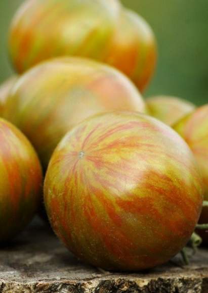 Томат Гном Афтершок (мязина) 0,02 гр  – купить в г. Москва