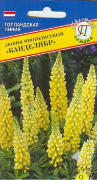 Люпин Канделябр (престиж) 15 шт многолетний