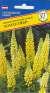 Люпин Канделябр (престиж) 15 шт многолетний  – купить в г. Москва